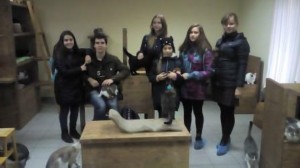 �����������