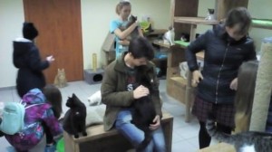 �����������