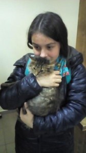 �����������