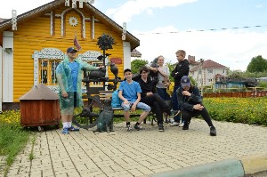 �����������